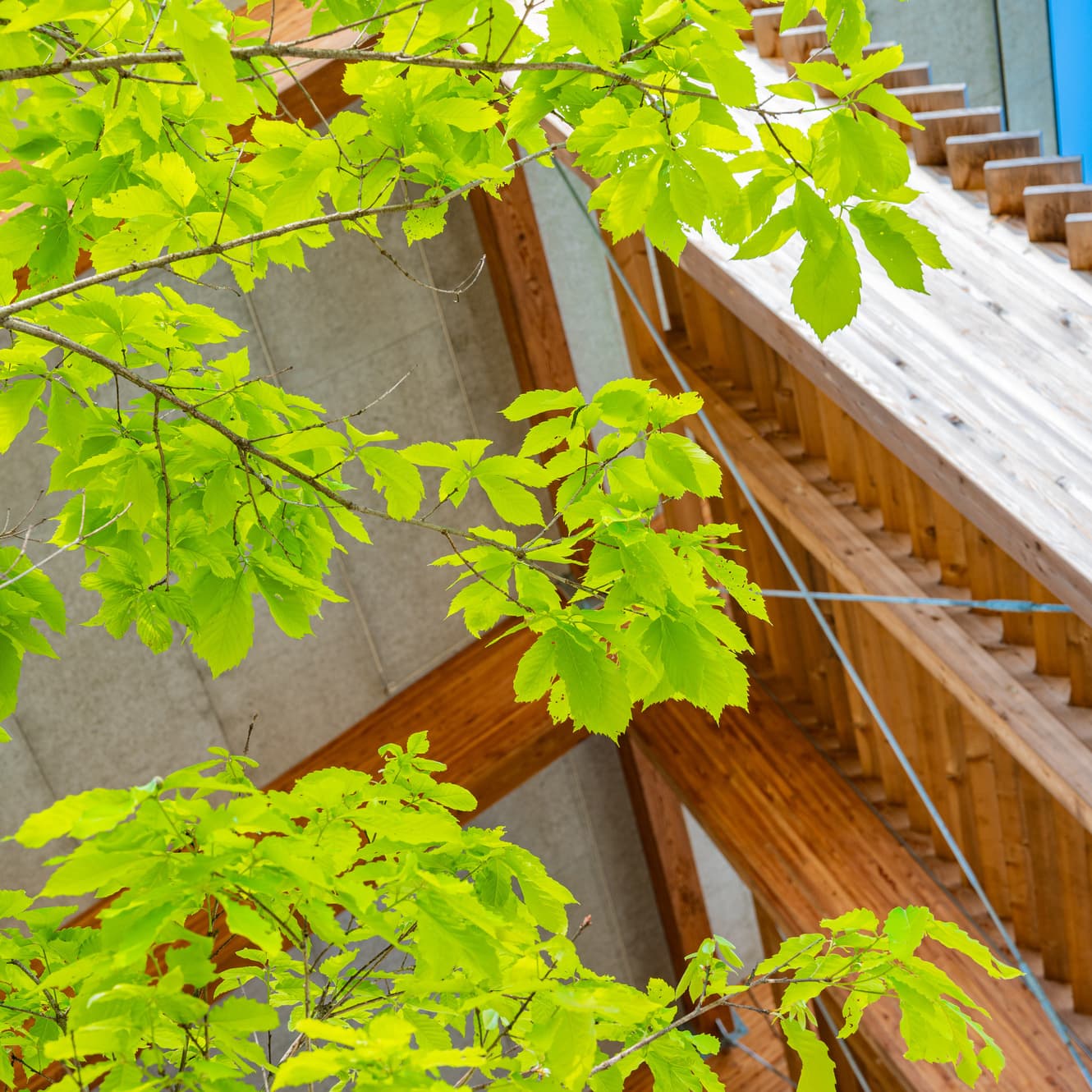 TSUGIMACHI OSHIMIZU　tsugimachi 豊橋・ツギマチ 豊橋